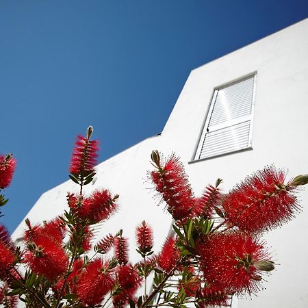 Canvas Apartments&Lofts カダケス エクステリア 写真
